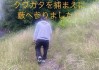 クワガタ採り (1)