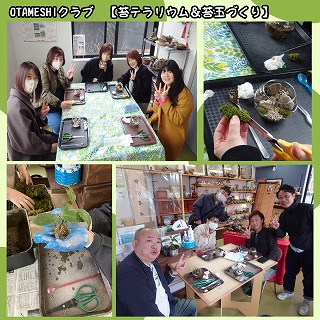 s-苔玉②