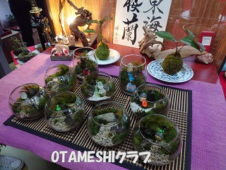 s-苔玉①